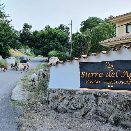 Hospedium Hostal Sierra Del Agua Paterna del Madera Ngoại thất bức ảnh