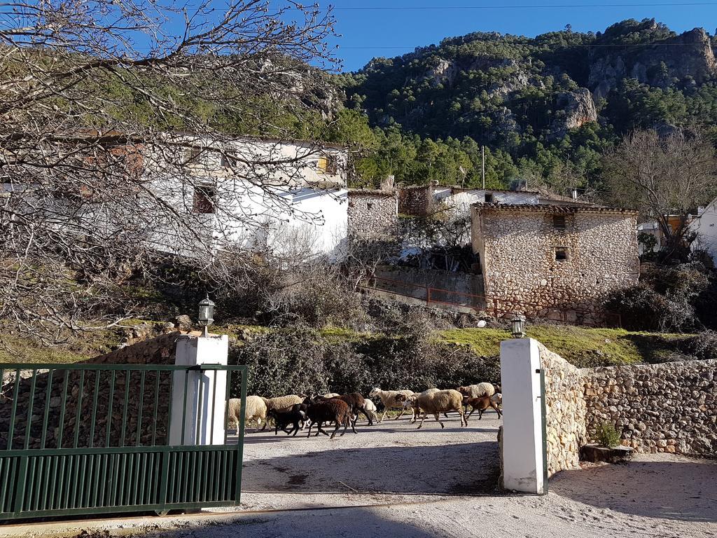 Hospedium Hostal Sierra Del Agua Paterna del Madera Ngoại thất bức ảnh